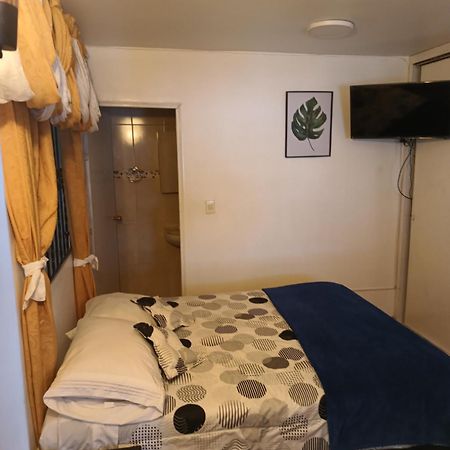 Noras Homestay Laureles 麦德林 外观 照片
